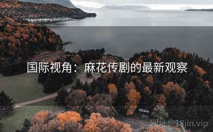 国际视角：麻花传剧的最新观察  第1张