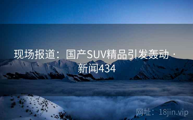 现场报道：国产SUV精品引发轰动 · 新闻434  第1张