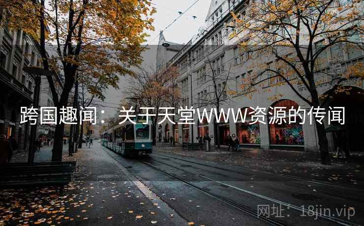 跨国趣闻：关于天堂WWW资源的传闻  第2张